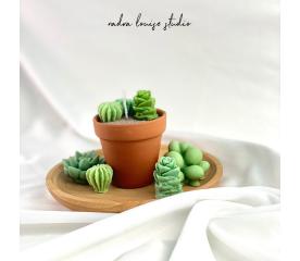 Cactus Candle Workshop